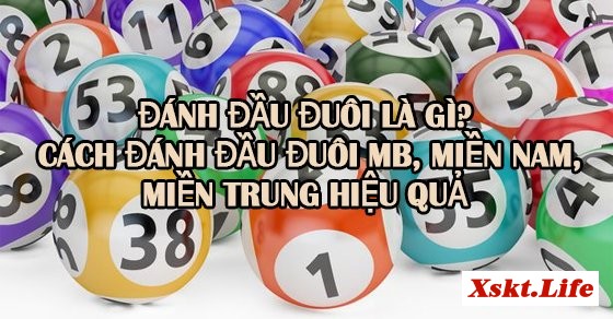 đầu đuôi là gì