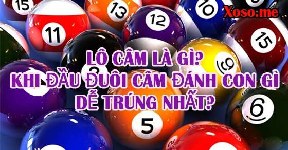 đầu lô câm đánh con gì